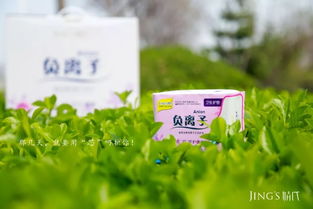 聚米婧氏健康生活日用品 引領(lǐng)日常健康新風(fēng)尚